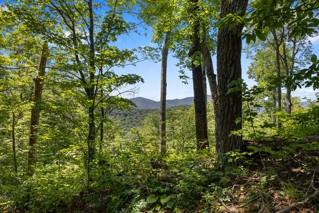 $950,000 | 1 Lories Mtn Drive, Hayesville, NC 28904