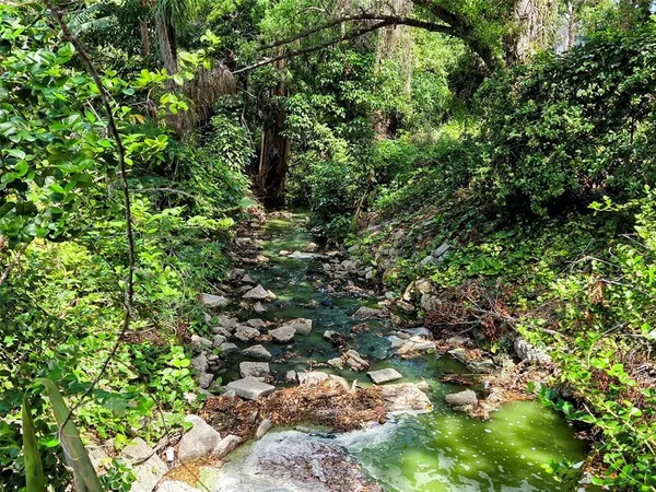 a view of a garden with plants