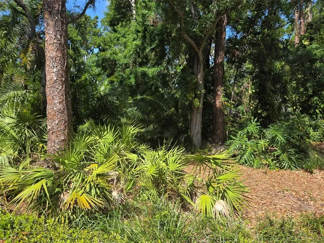 a view of a garden with plants