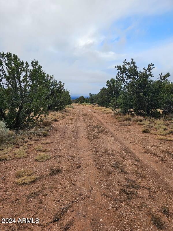 4127 North Windy Walk Way, Unit 149 Williams, AZ 86046 - Photo 1 of 6 a view of a beach with a tree in the background