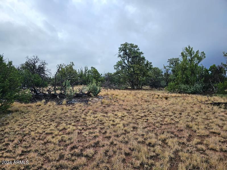 4127 North Windy Walk Way, Unit 149 Williams, AZ 86046 - Photo 3 of 6 a view of a lake view