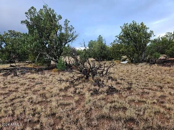a view of a field with trees in the background