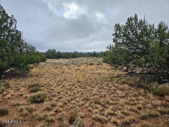 4127 North Windy Walk Way, Unit 149 Williams, AZ 86046 - Photo 5 of 6 a view of a field with trees in the background