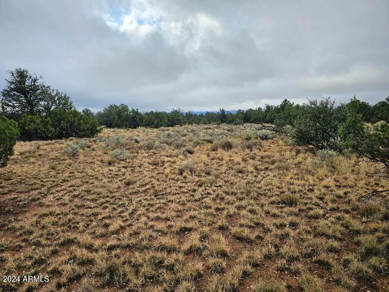 4127 North Windy Walk Way, Unit 149 Williams, AZ 86046 - Photo 6 of 6 a view of a lake view