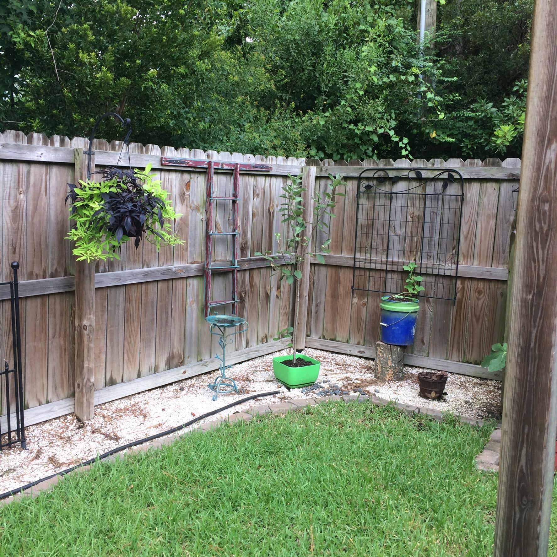 8073 Vermont Road North Charleston, SC 29418 - Photo 19 of 39 image