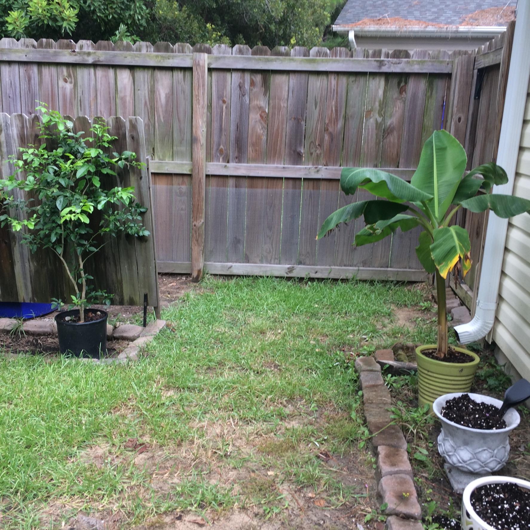 8073 Vermont Road North Charleston, SC 29418 - Photo 36 of 39 image