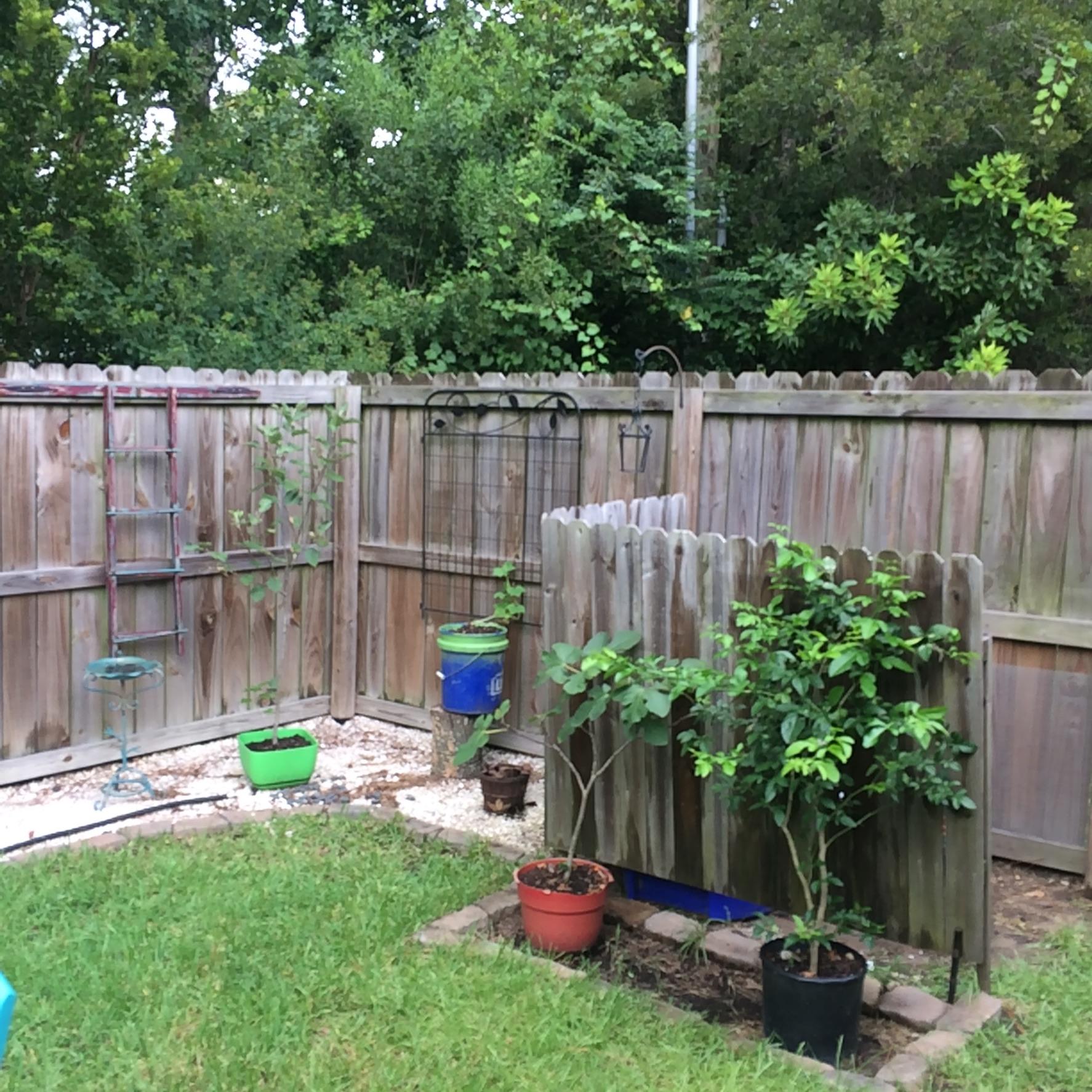 8073 Vermont Road North Charleston, SC 29418 - Photo 38 of 39 image