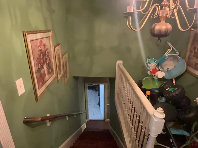 a living room with furniture flowerpot and a window