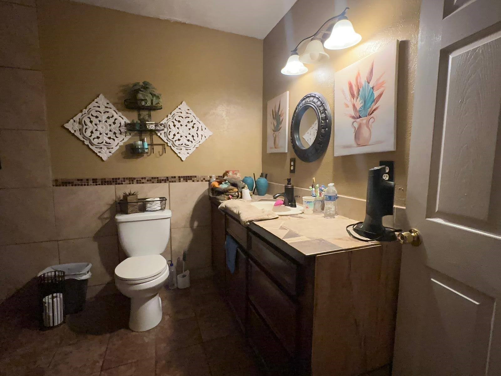 2629 Kowis Street Houston, TX 77093 - Photo 10 of 17 a bathroom with a toilet a sink and a mirror