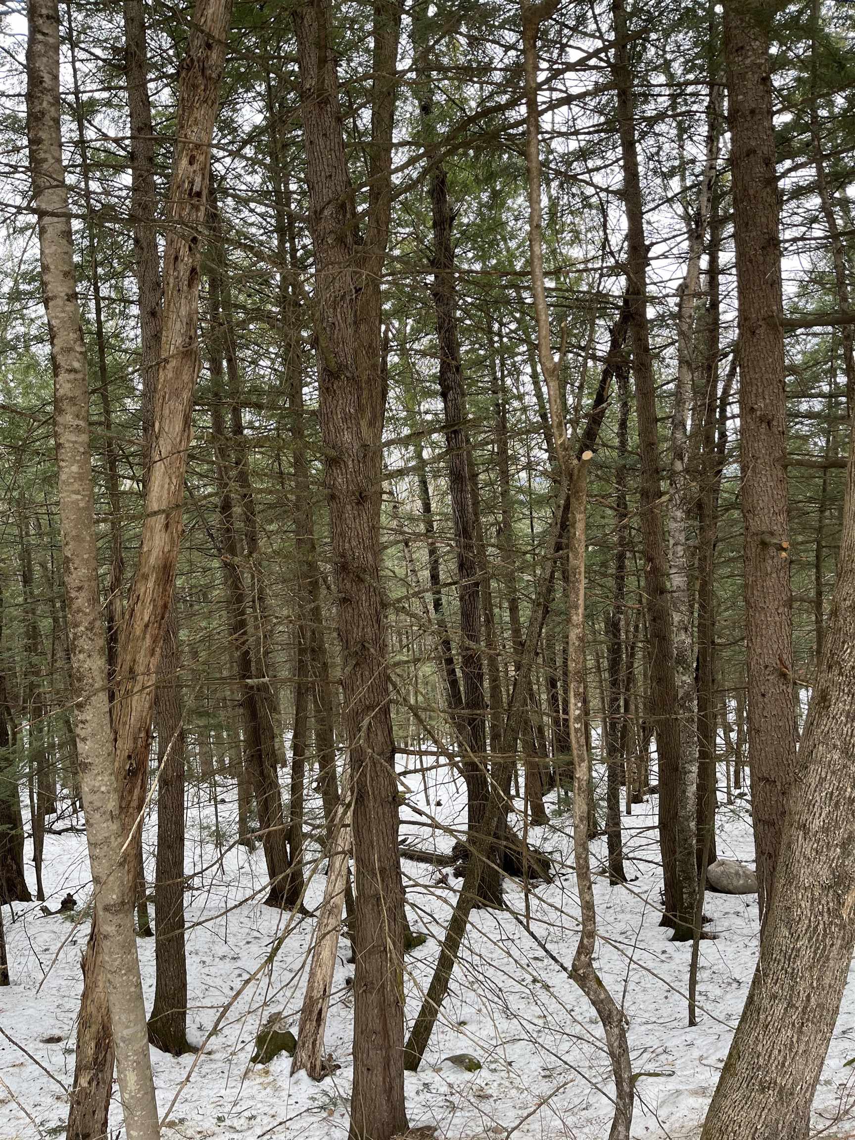 2-16 Morrill Circle Campton, NH 03223 - Photo 2 of 11