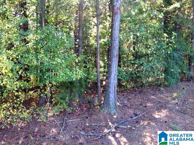 0 Whispering Pines Road, Unit 1 AMD 2 Oxford, AL 36203 - Photo 3 of 30