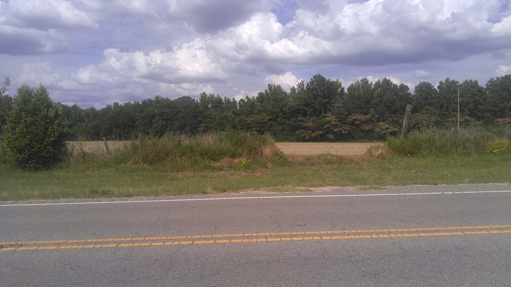 0 State Highway Slocomb, AL 36375 - Photo 2 of 4
