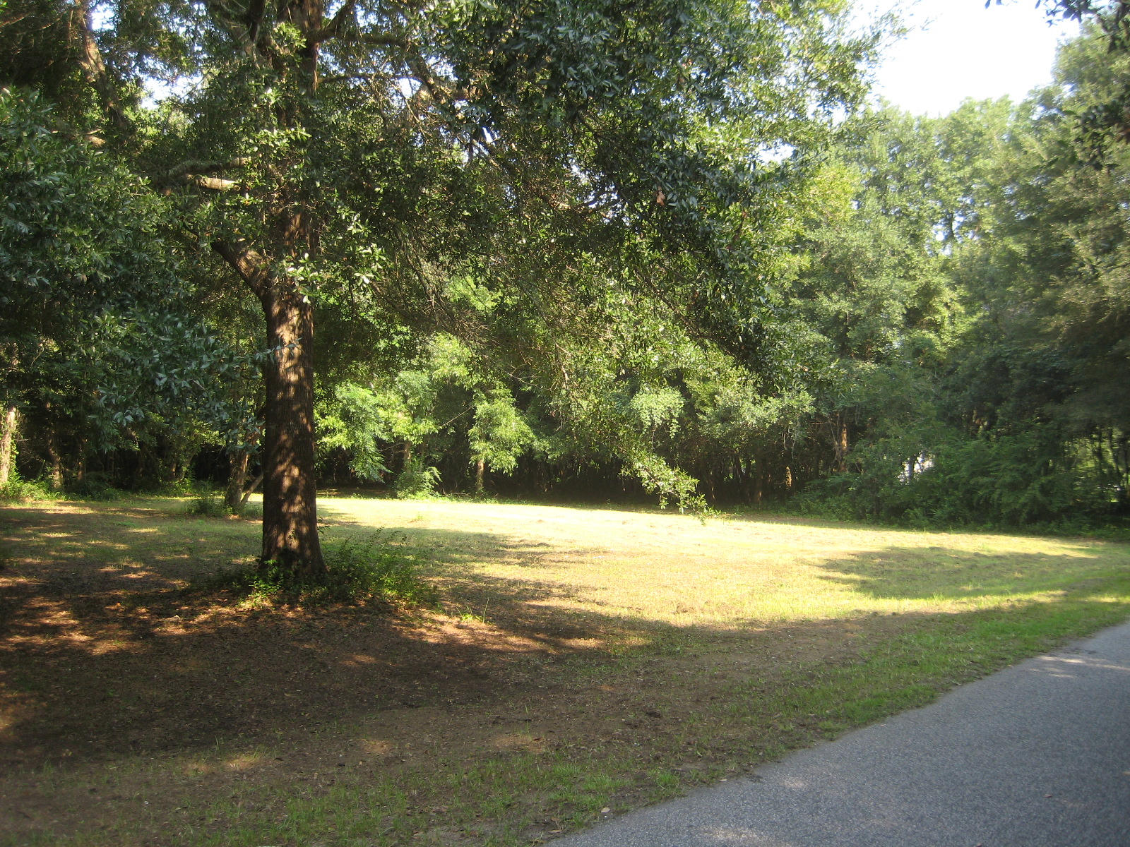 Lot 19 Fort Lamar Road Charleston, SC 29412 - Photo 1 of 1 IMG_7337 - Copy