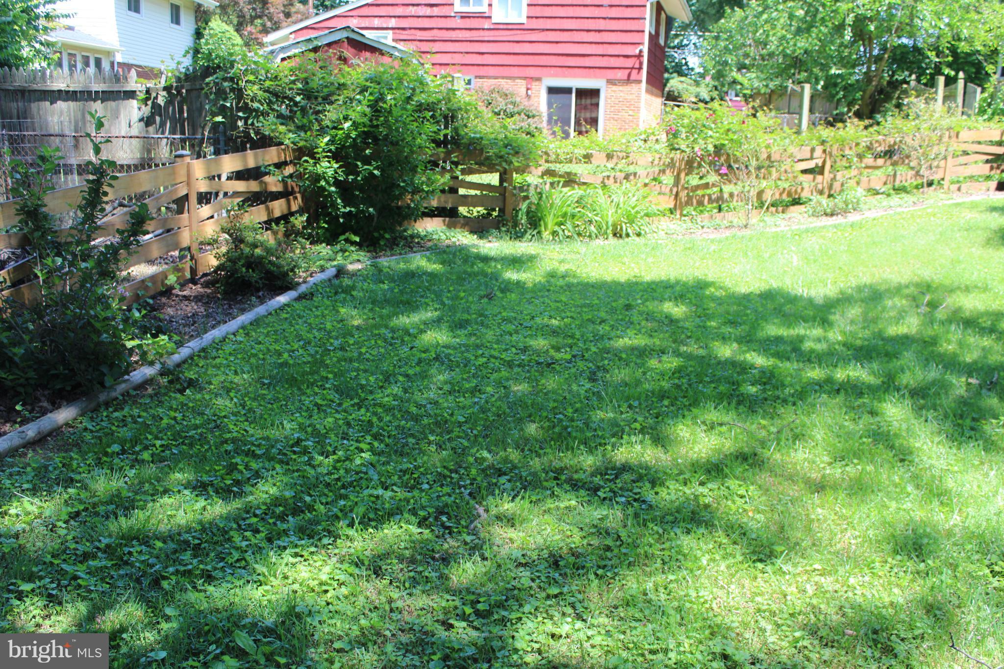 4303 Emden Street Silver Spring, MD 20906 - Photo 26 of 29 mature lawn and gardens