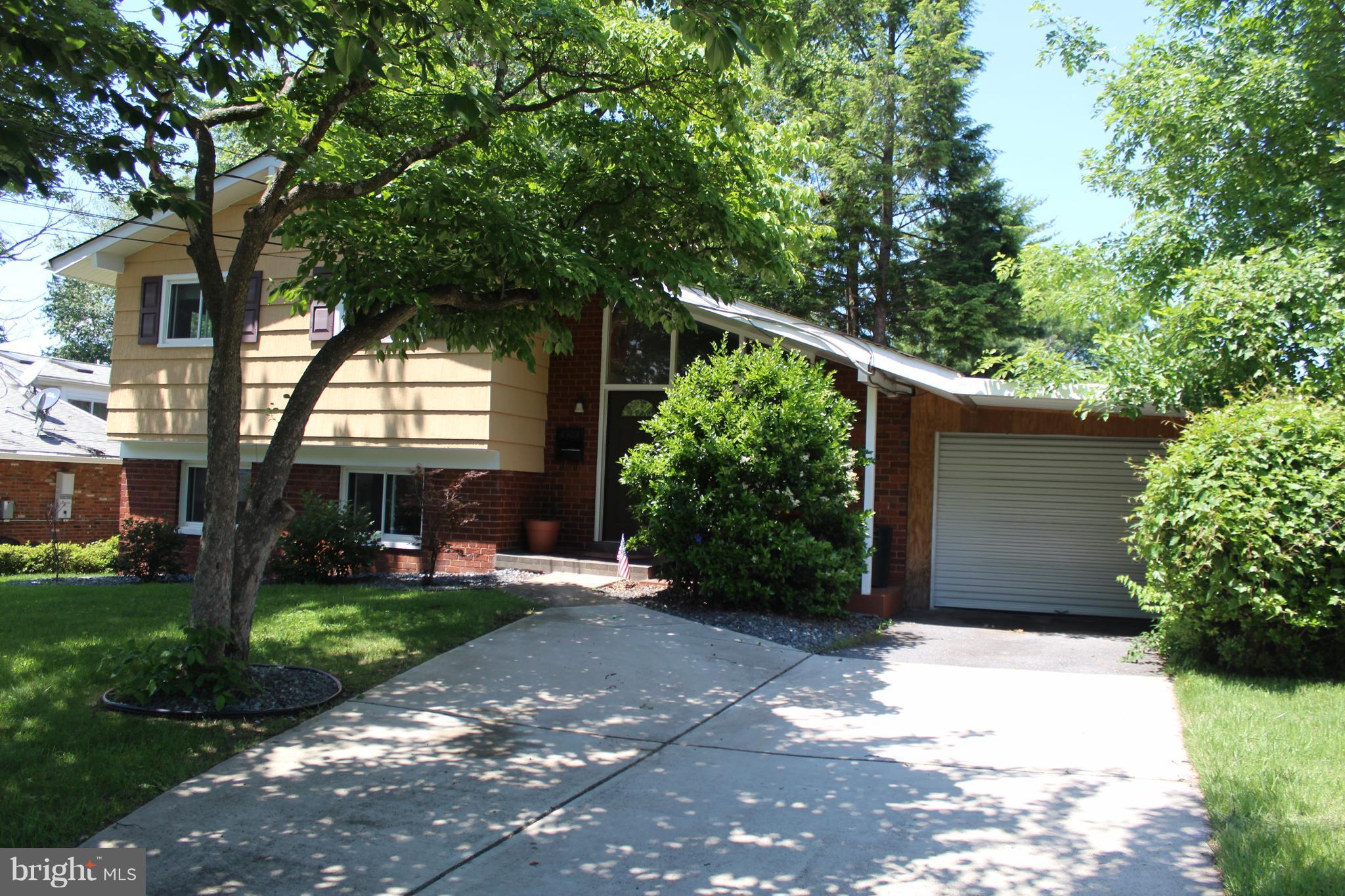 4303 Emden Street Silver Spring, MD 20906 - Photo 4 of 29 Mature landscape, welltrimmed