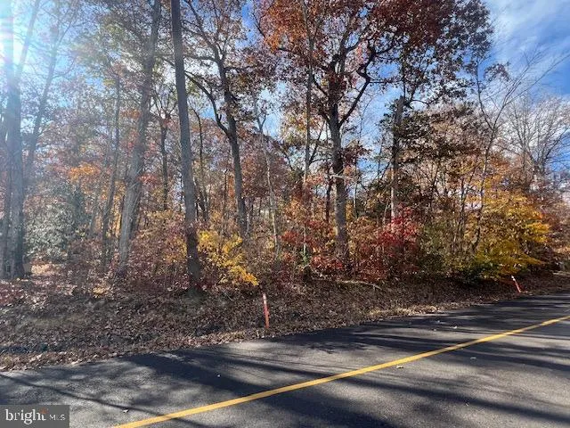 a view of yard space and basketball court