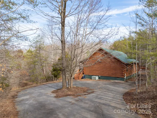 a tree in the middle of a yard