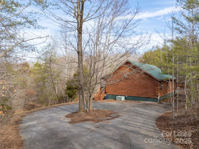 a tree in the middle of a yard
