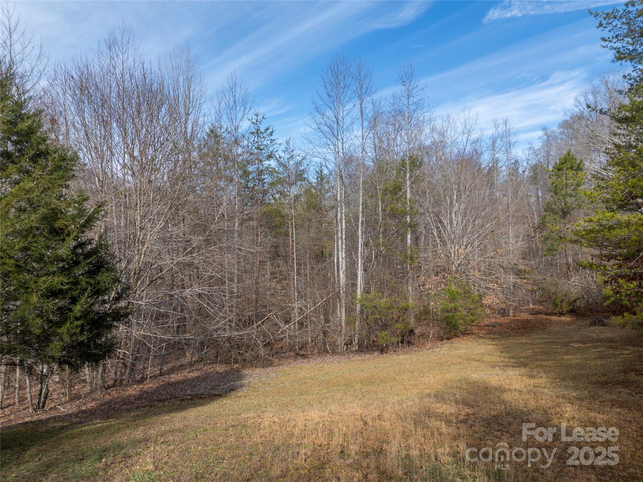 476 Front Ridge Circle Rutherfordton, NC 28139 - Photo 33 of 44 a view of a backyard