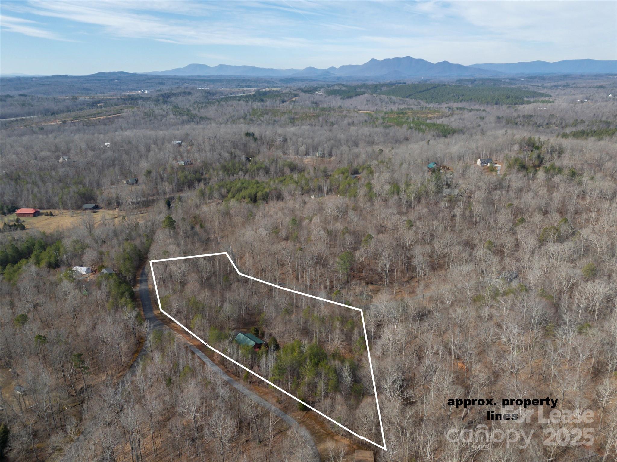 476 Front Ridge Circle Rutherfordton, NC 28139 - Photo 36 of 44 a view of a forest