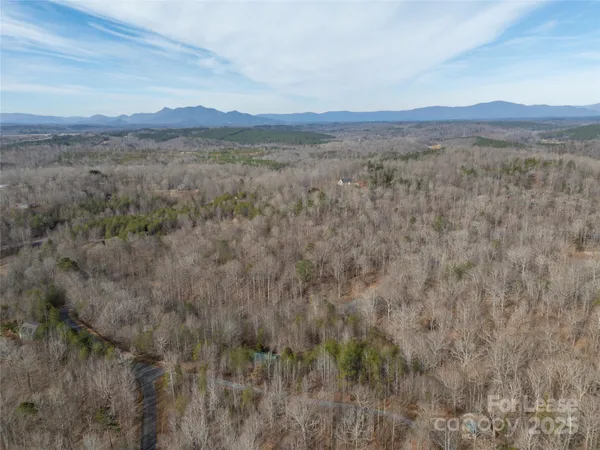a view of a lot of trees and bushes