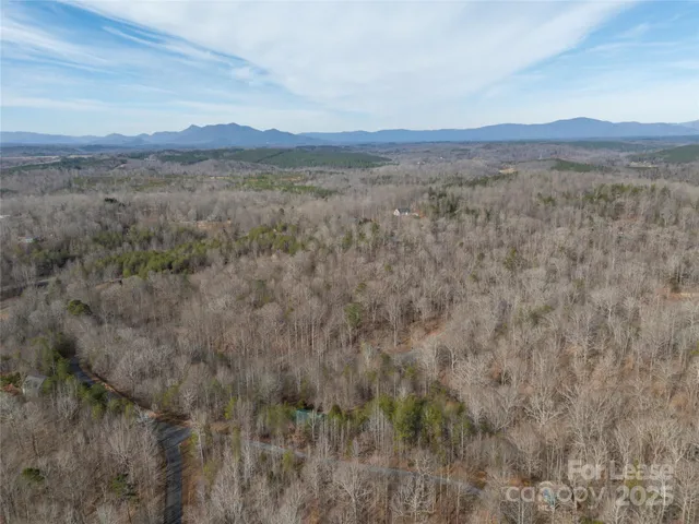 a view of a lot of trees and bushes