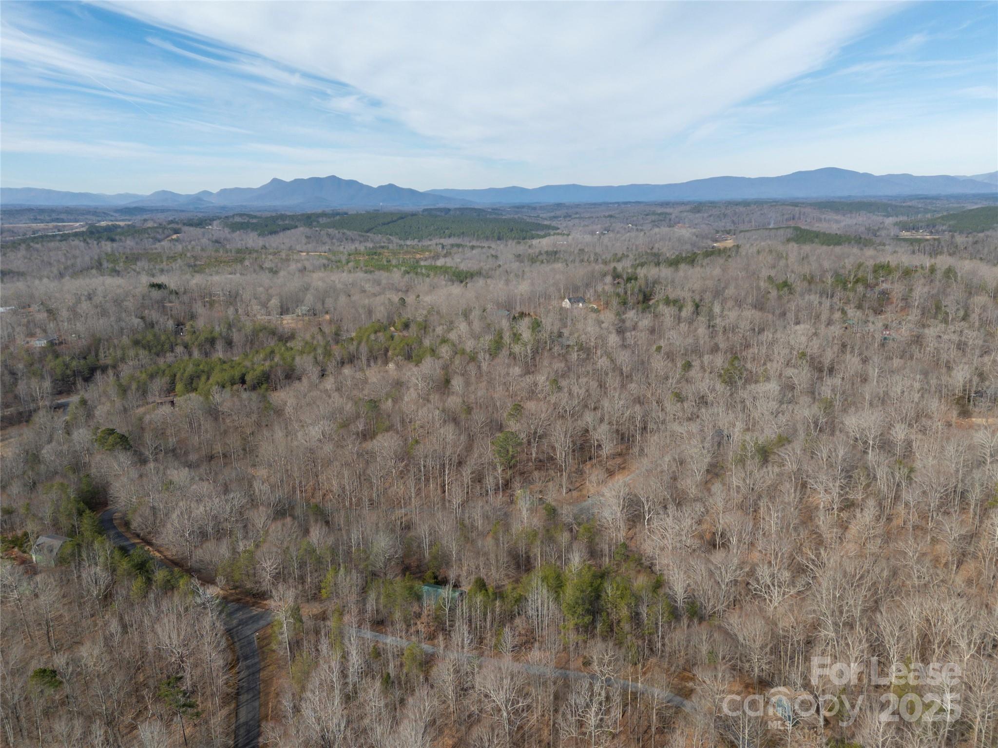 476 Front Ridge Circle Rutherfordton, NC 28139 - Photo 37 of 44