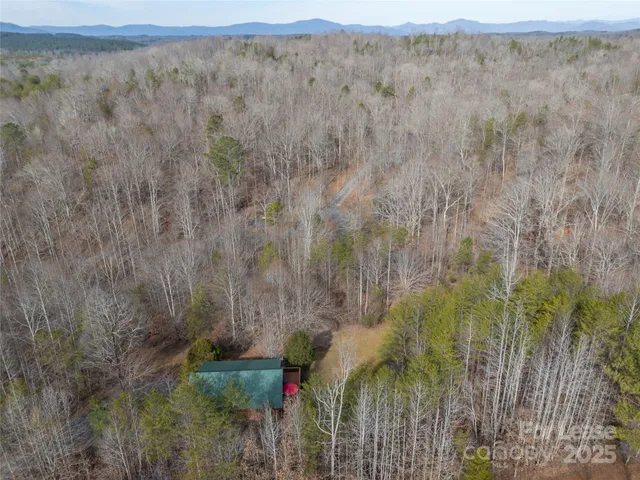 a view of outdoor space with trees