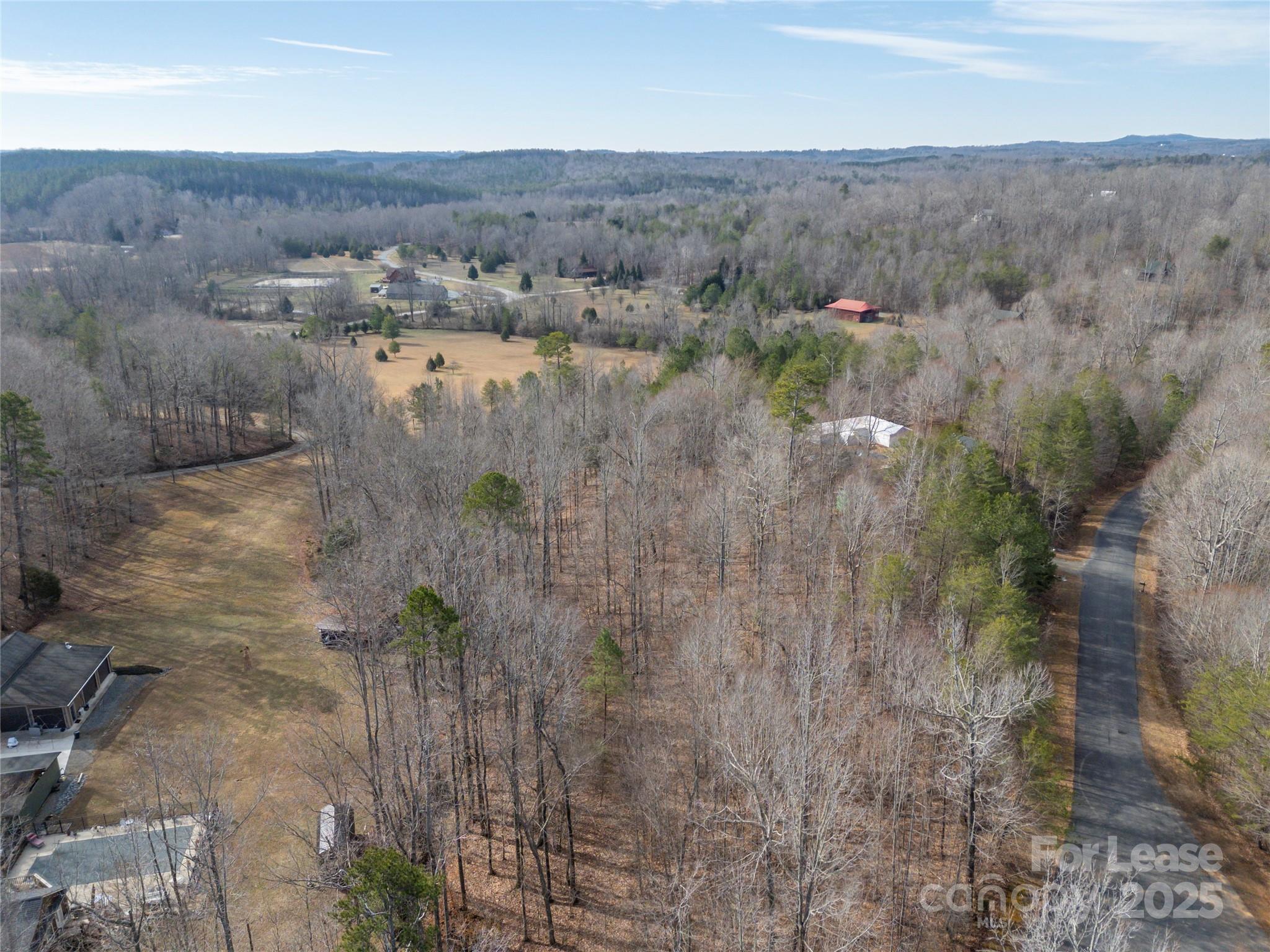 476 Front Ridge Circle Rutherfordton, NC 28139 - Photo 39 of 44 a view of a lot of trees and bushes