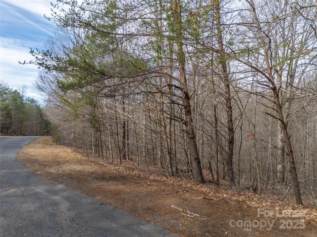 a view of a dry yard