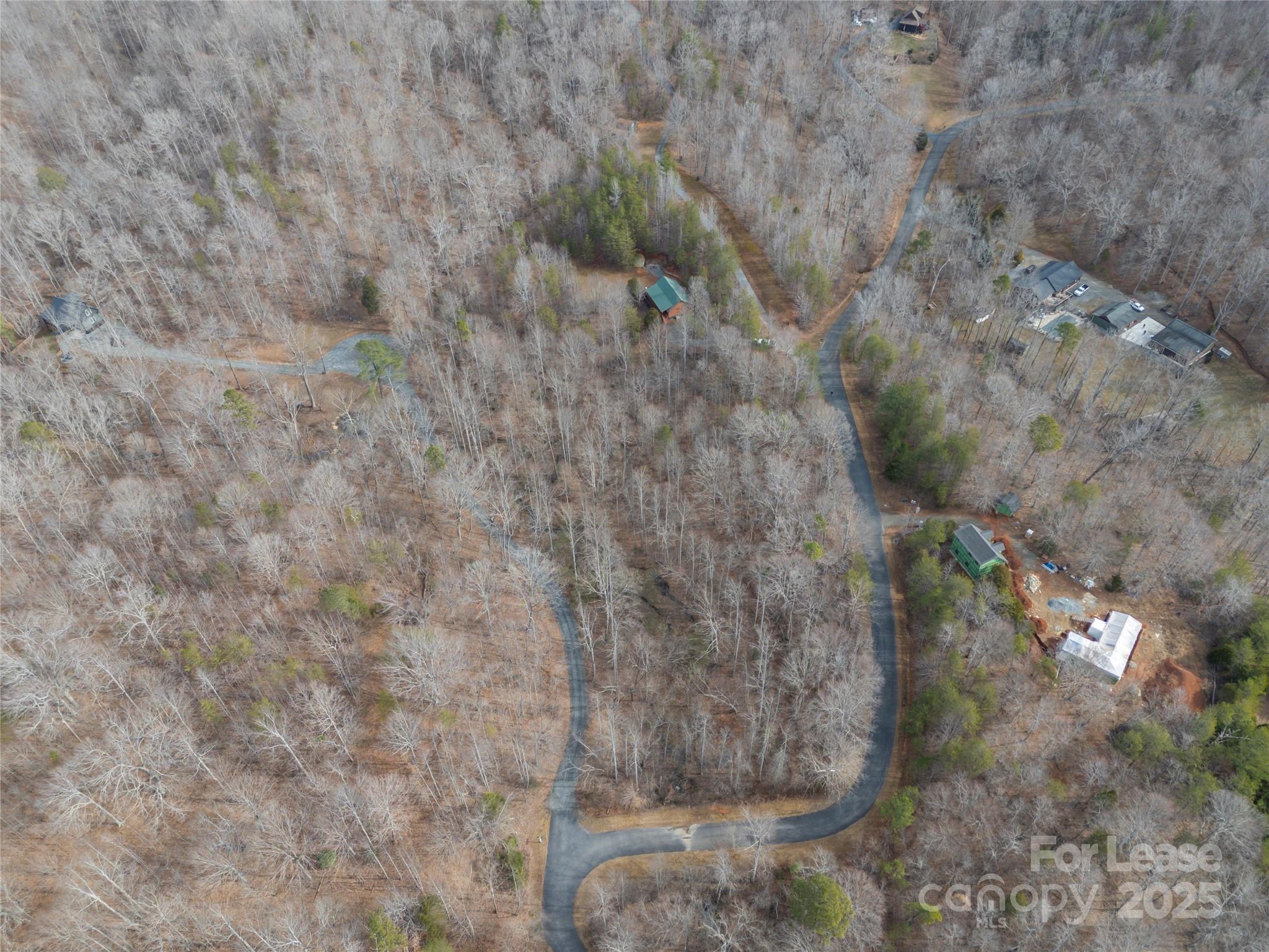 476 Front Ridge Circle Rutherfordton, NC 28139 - Photo 43 of 44 a view of a dry yard