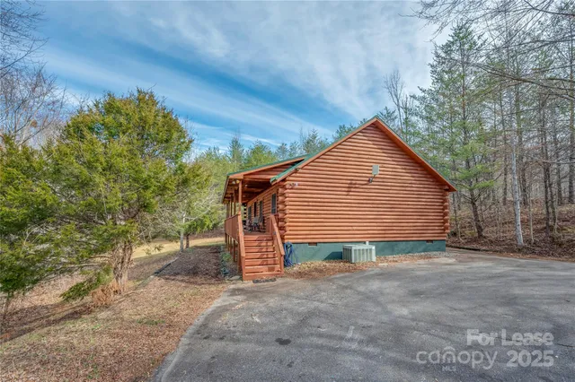 a view of backyard with large trees and plants
