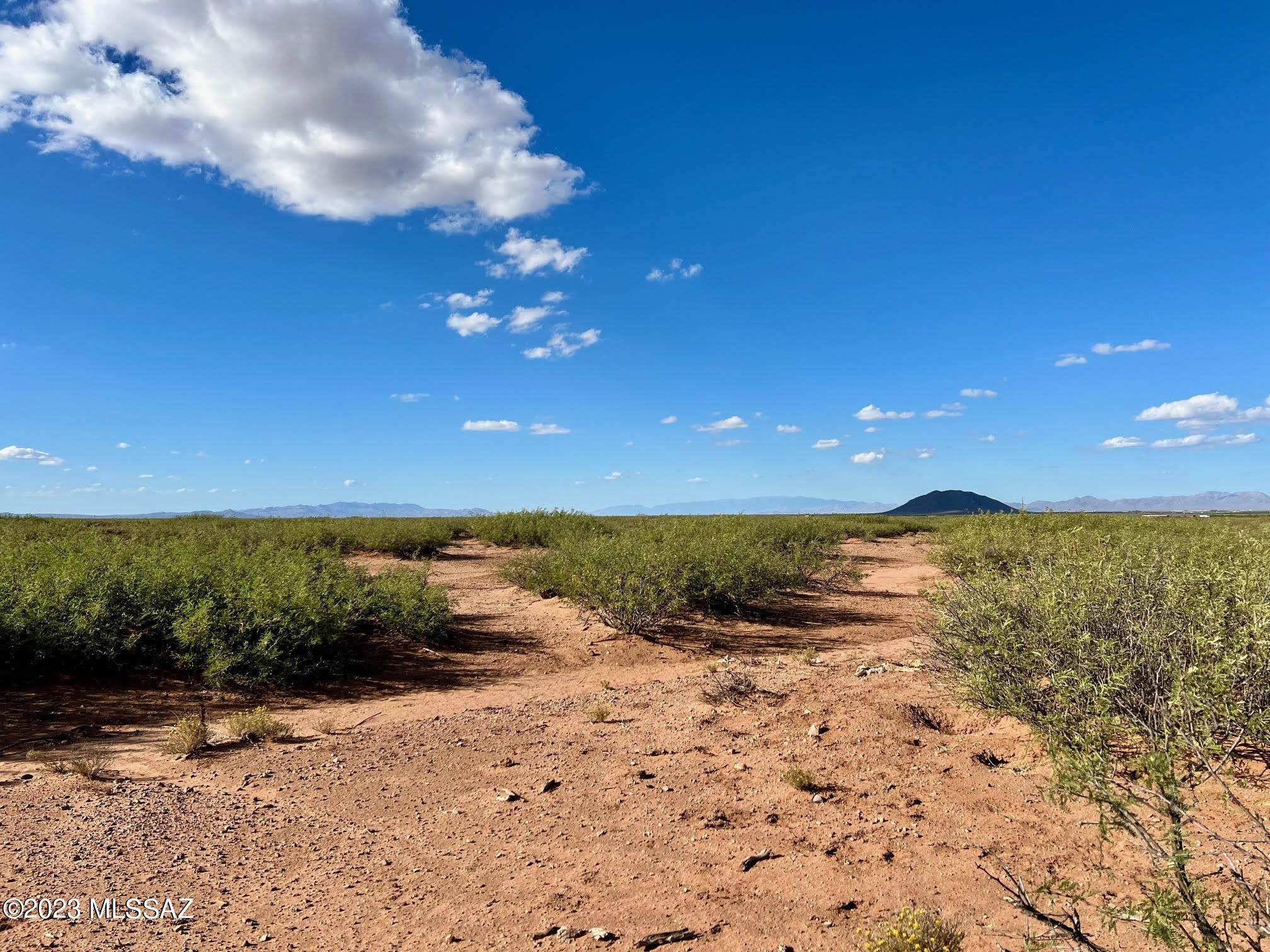 0 East Buck Ranch Road Pearce, AZ 85625 - Photo 12 of 14