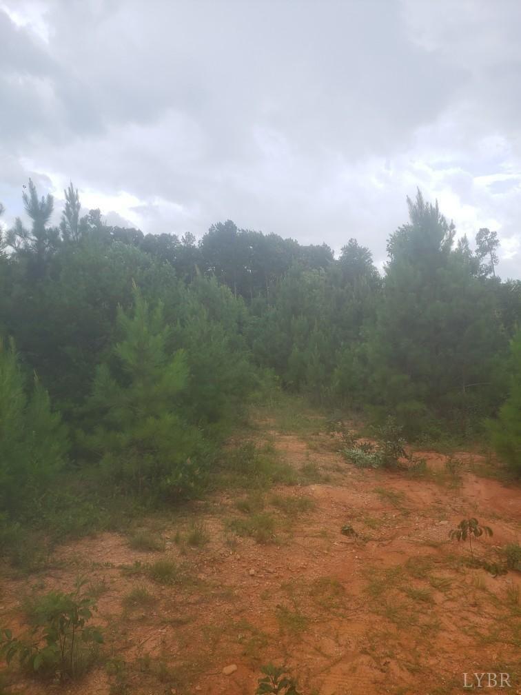 0 Webb Mill Road Appomattox, VA 24522 - Photo 1 of 6 a view of a big yard