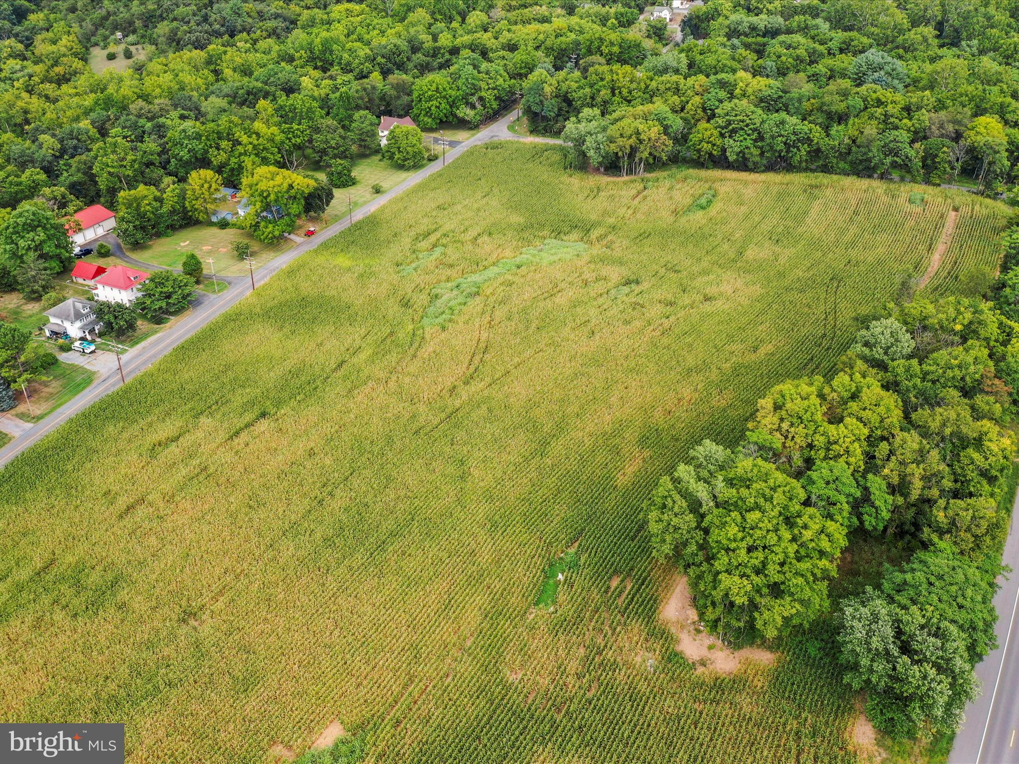 Greencastle Pike Williamsport, MD 21795 - Photo 12 of 13 a view of a yard with plants and large trees