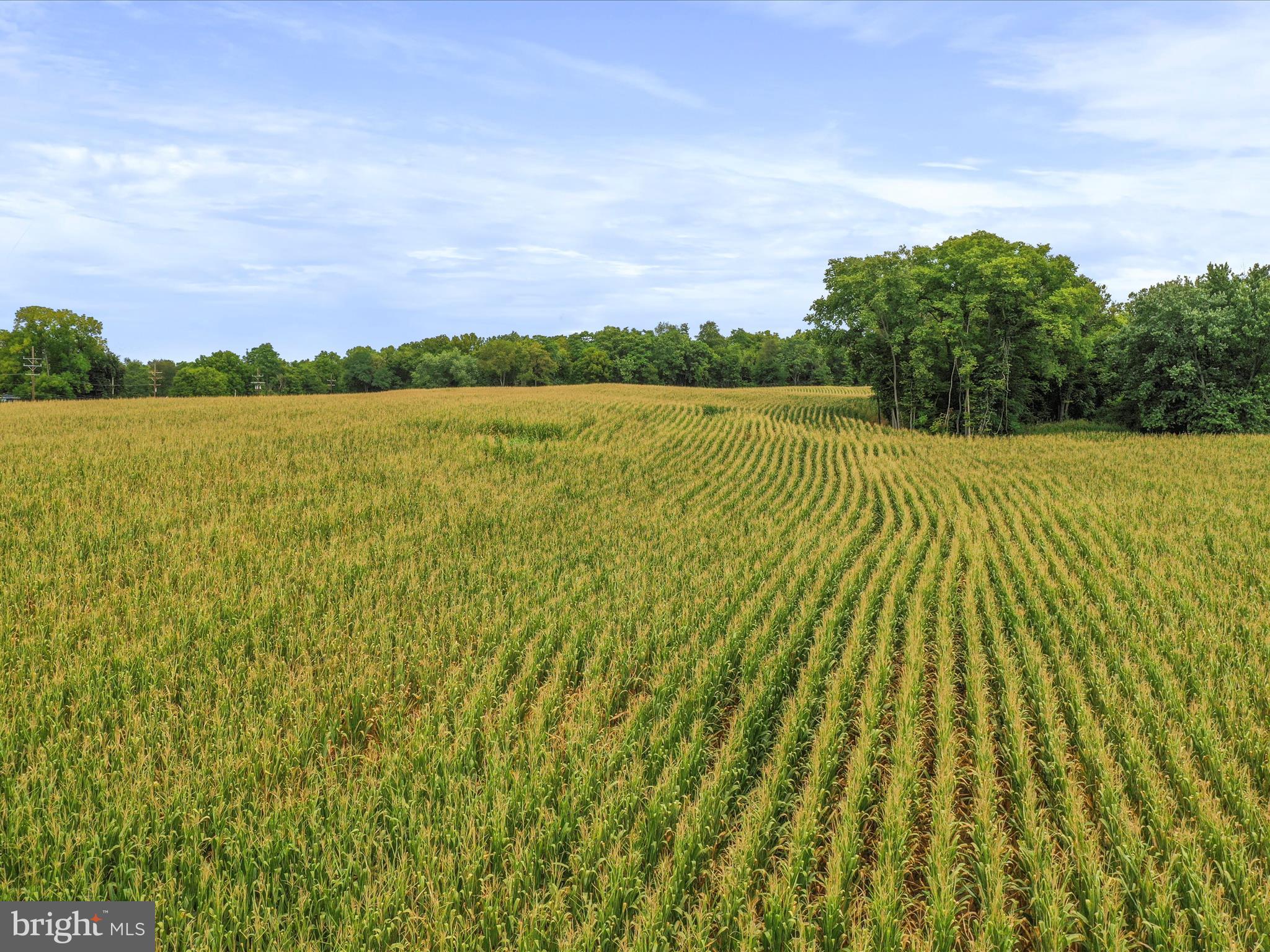 Greencastle Pike Williamsport, MD 21795 - Photo 4 of 13 a view of lake view and mountain view