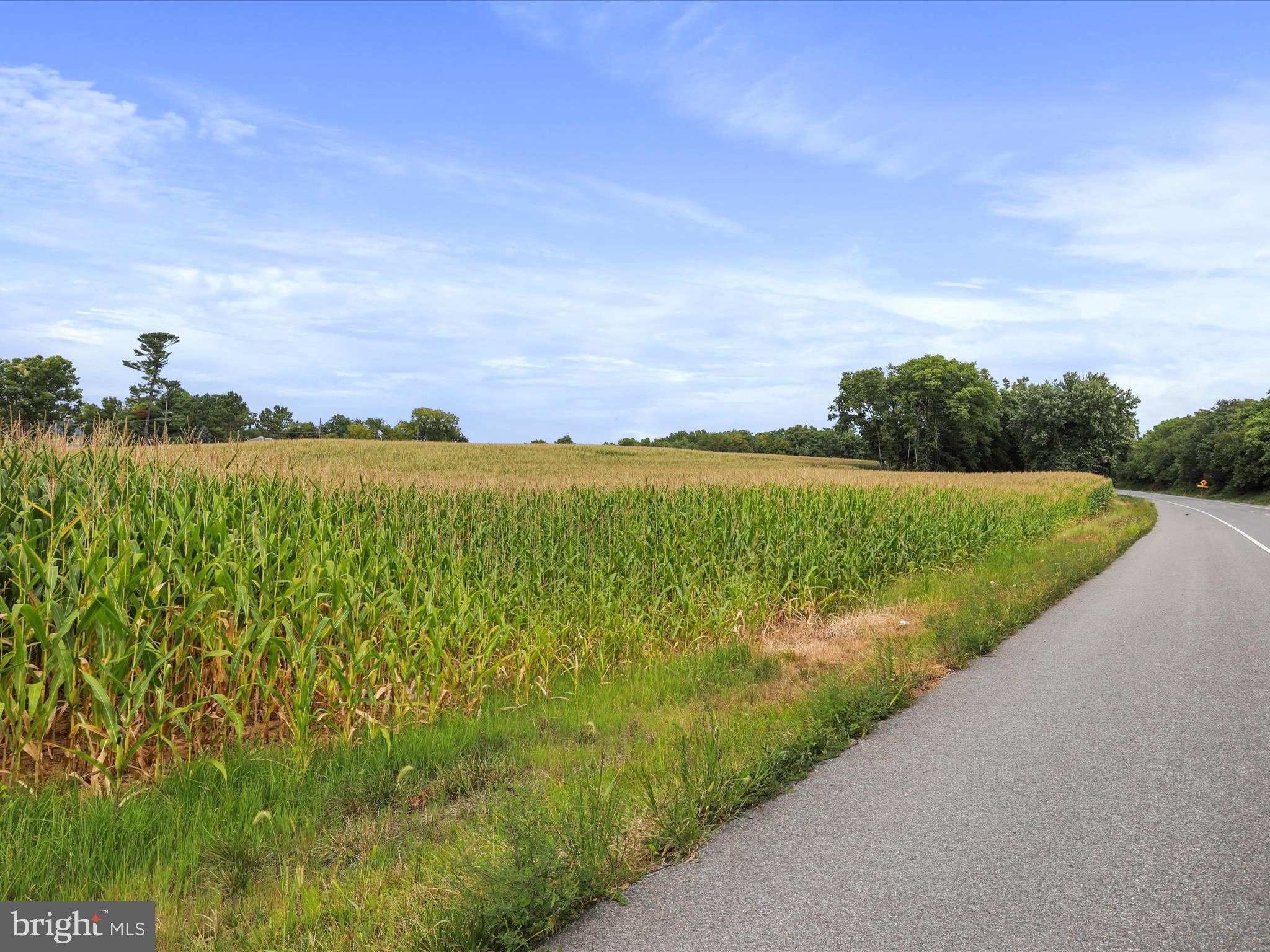 Greencastle Pike Williamsport, MD 21795 - Photo 5 of 13 a view of a lake with a big yard