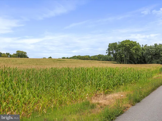 a view of a lake with a big yard