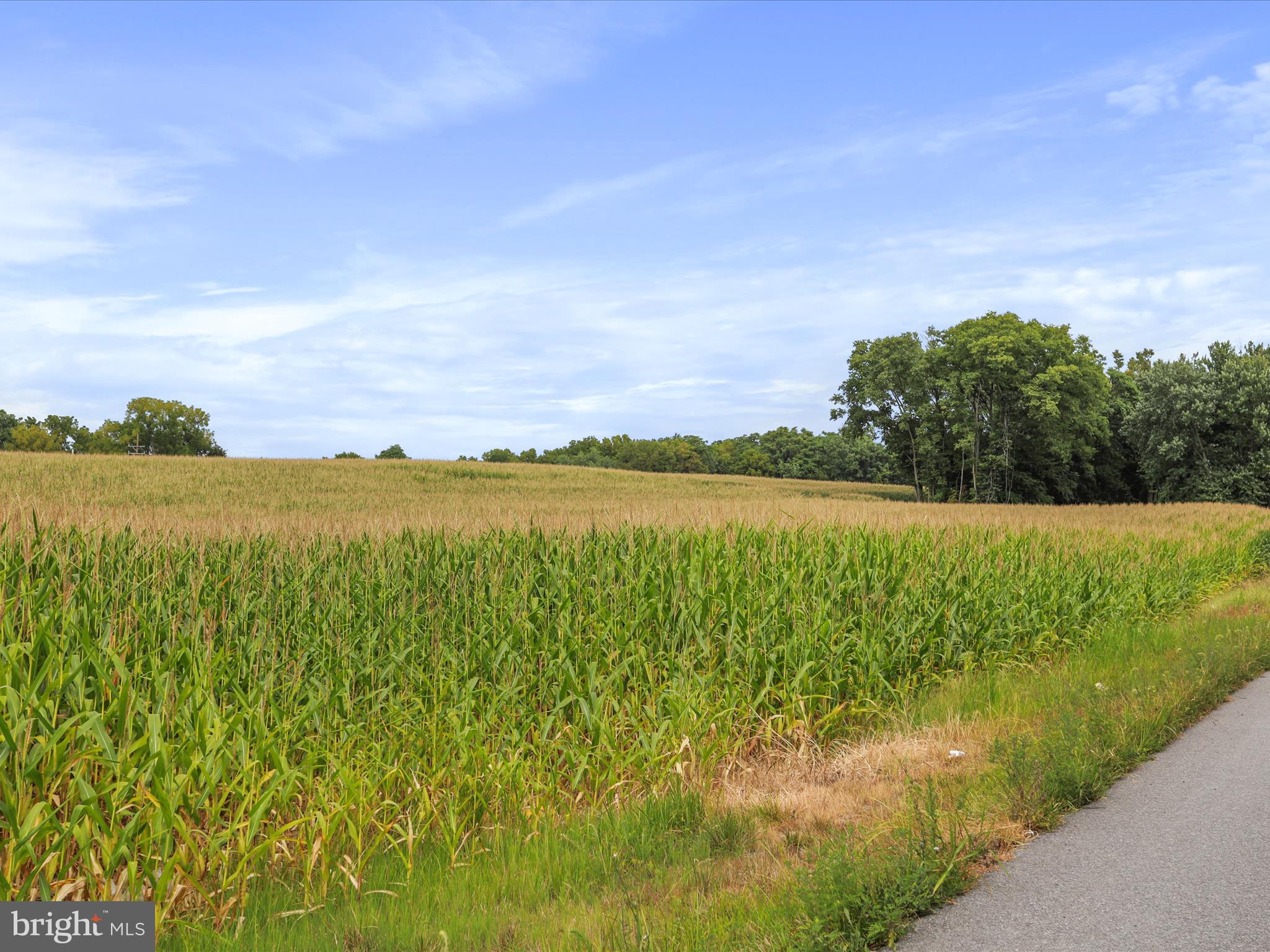 Greencastle Pike Williamsport, MD 21795 - Photo 6 of 13 a view of a lake with a big yard
