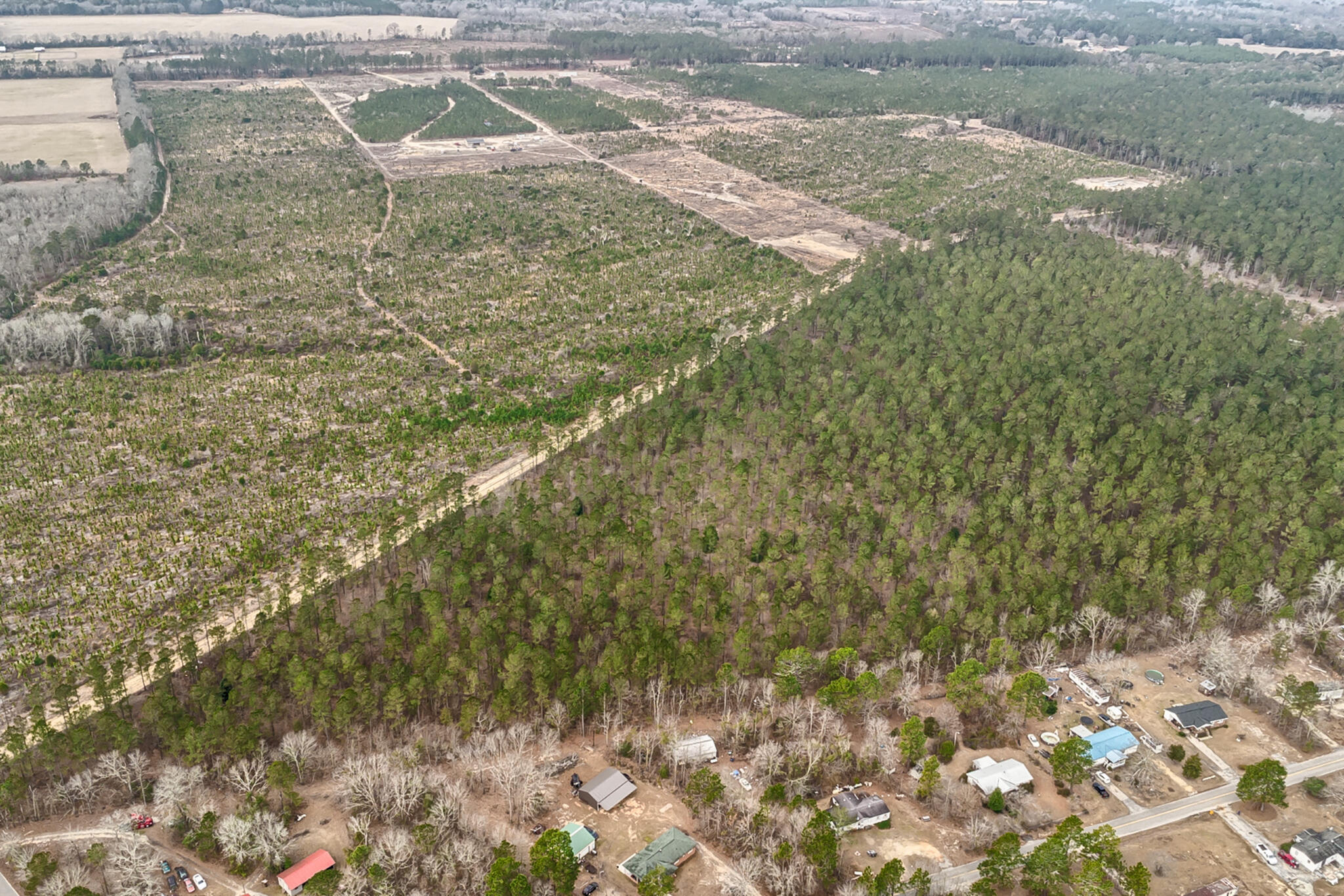 0 Otis Baughman Sr Road Wagener, SC 29164 - Photo 4 of 11