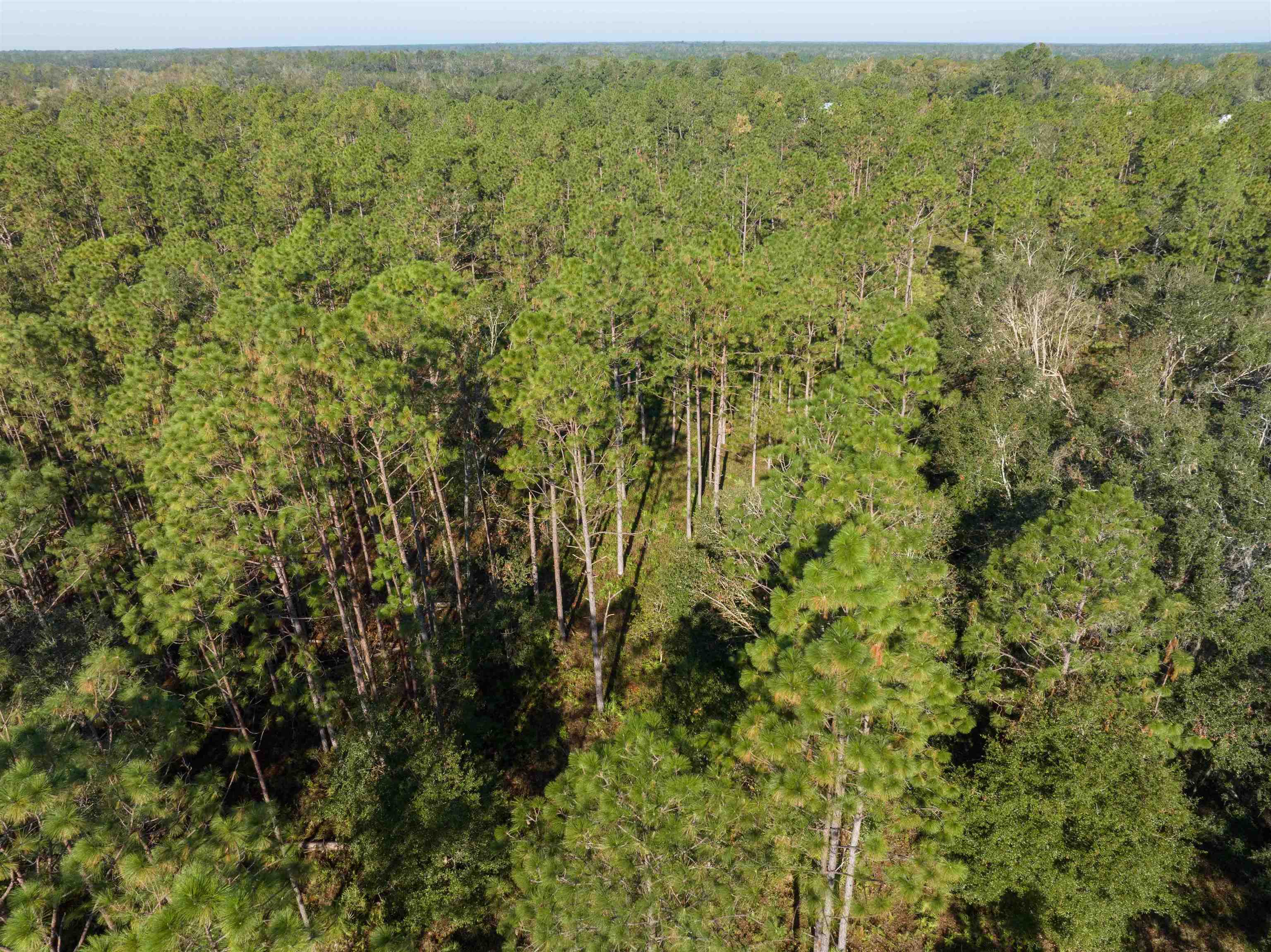 30 Osteen Road Perry, FL 32347 - Photo 1 of 17