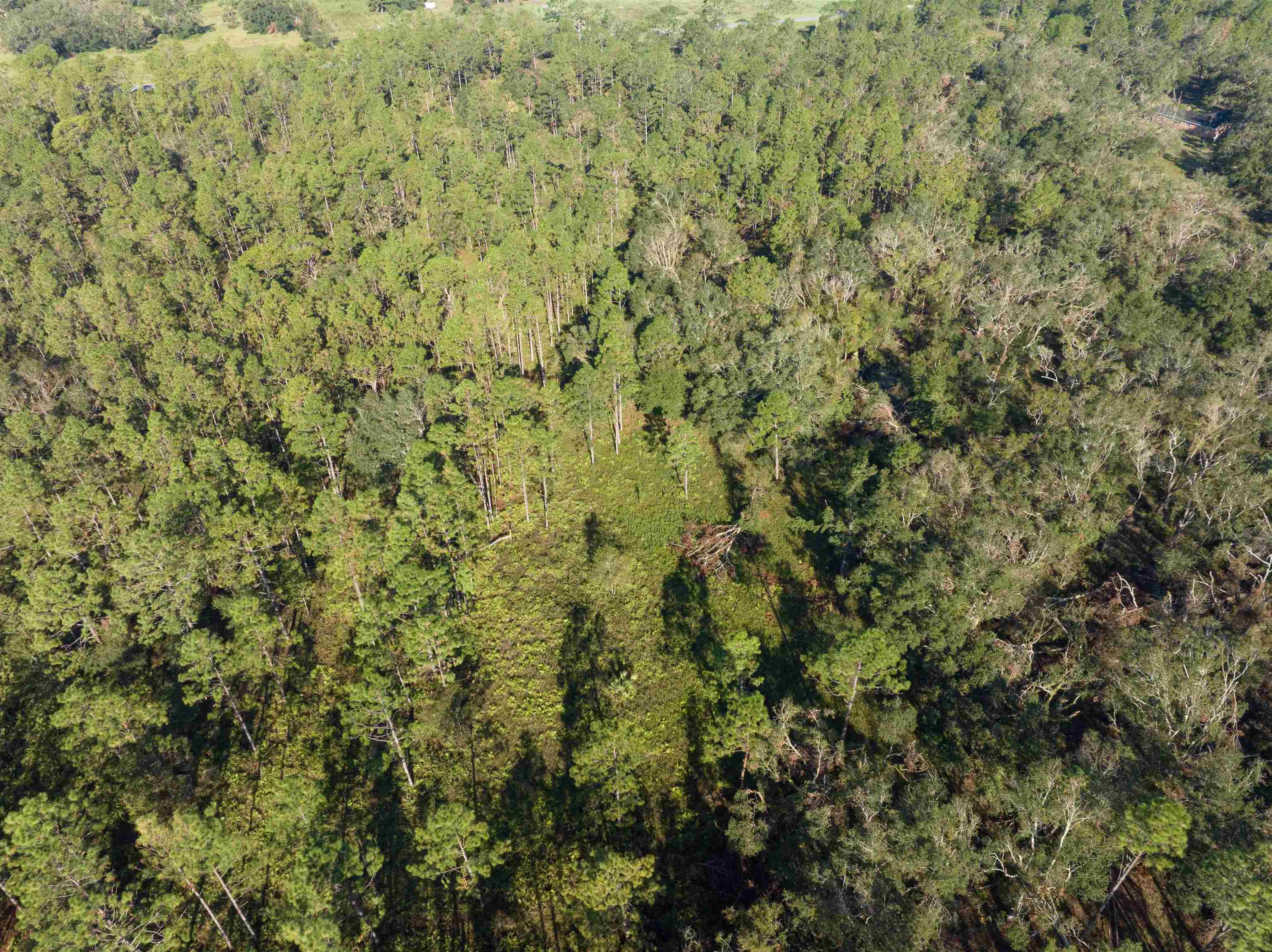 30 Osteen Road Perry, FL 32347 - Photo 15 of 17