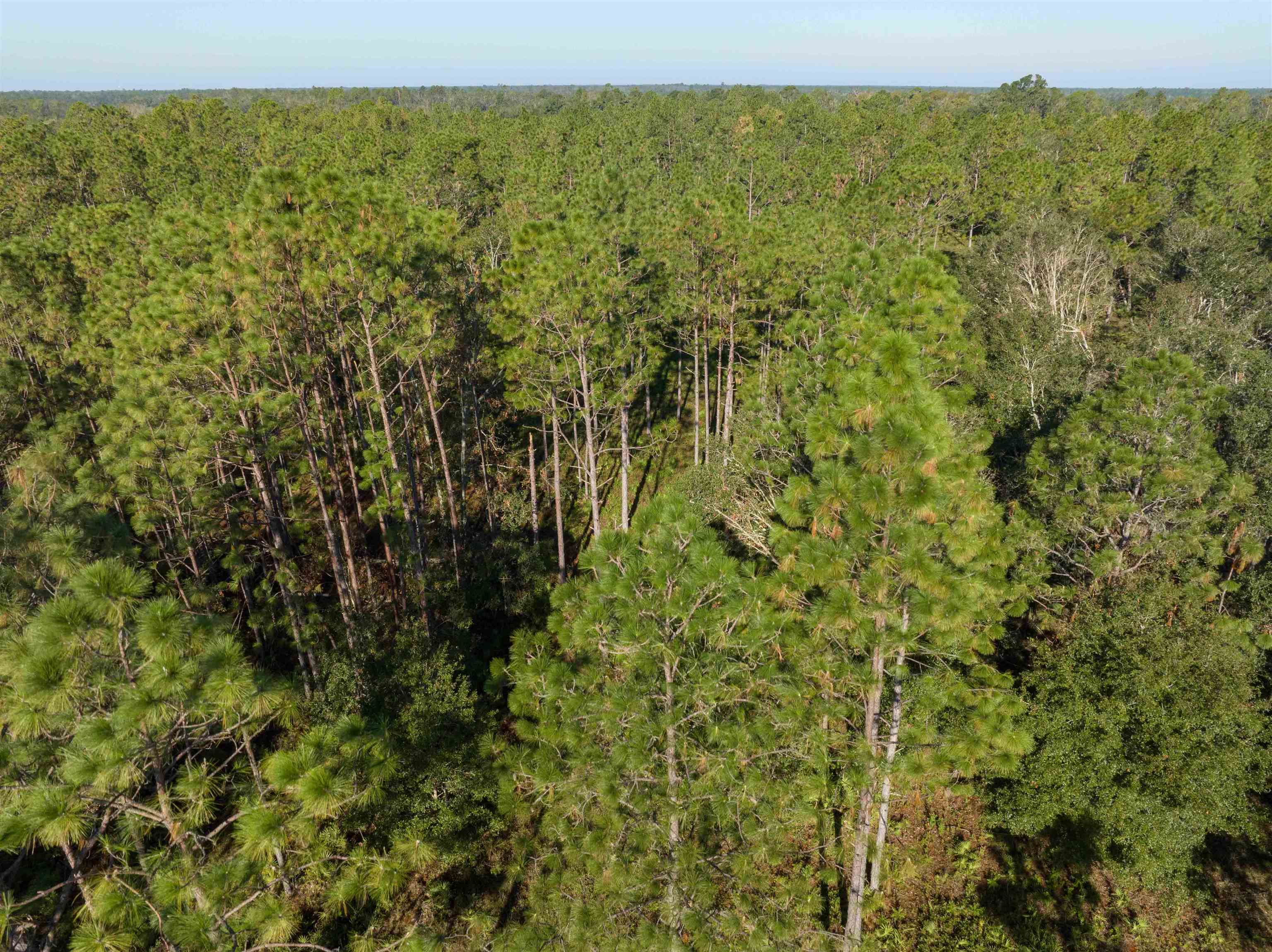 30 Osteen Road Perry, FL 32347 - Photo 17 of 17