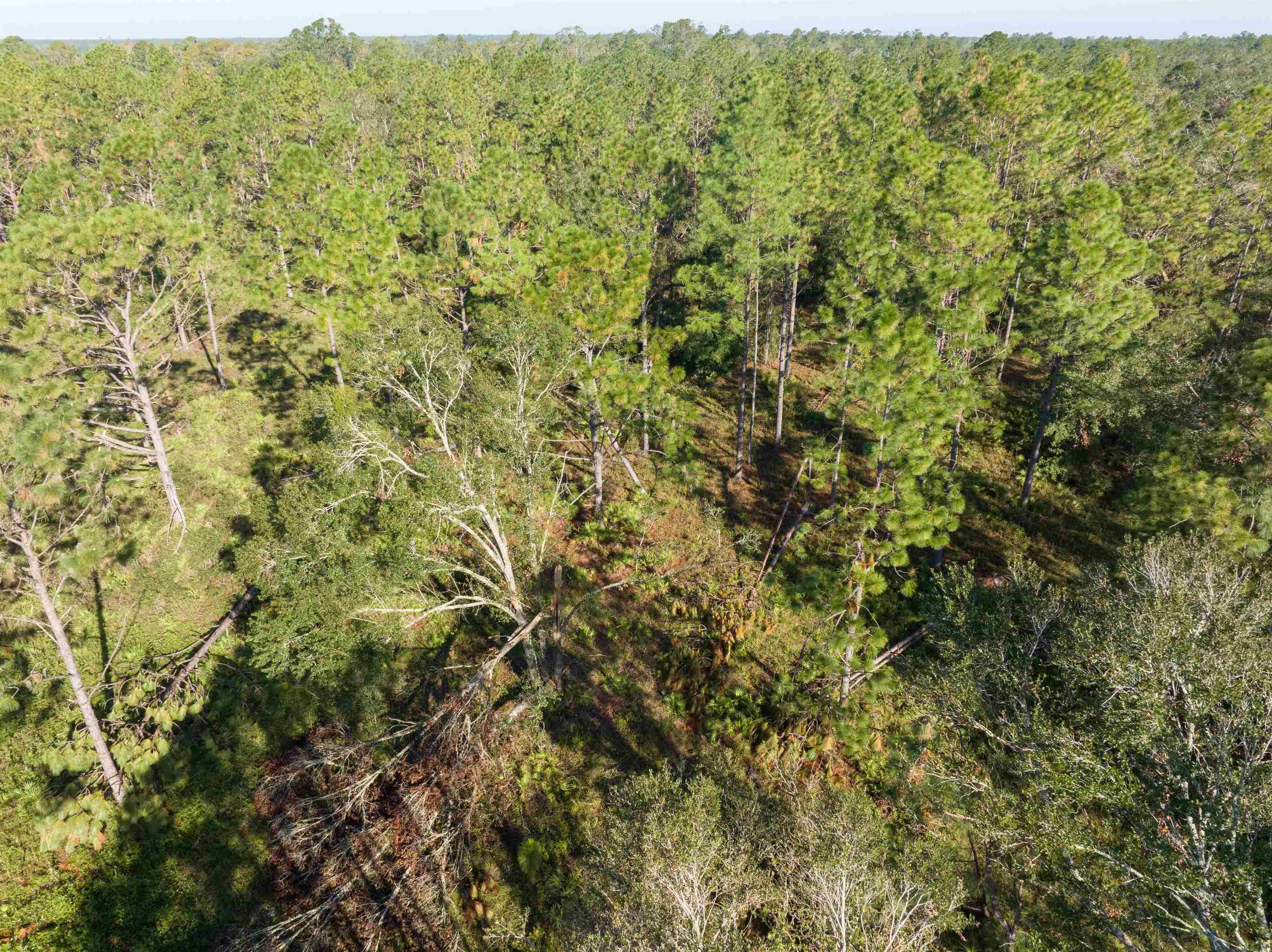30 Osteen Road Perry, FL 32347 - Photo 2 of 17
