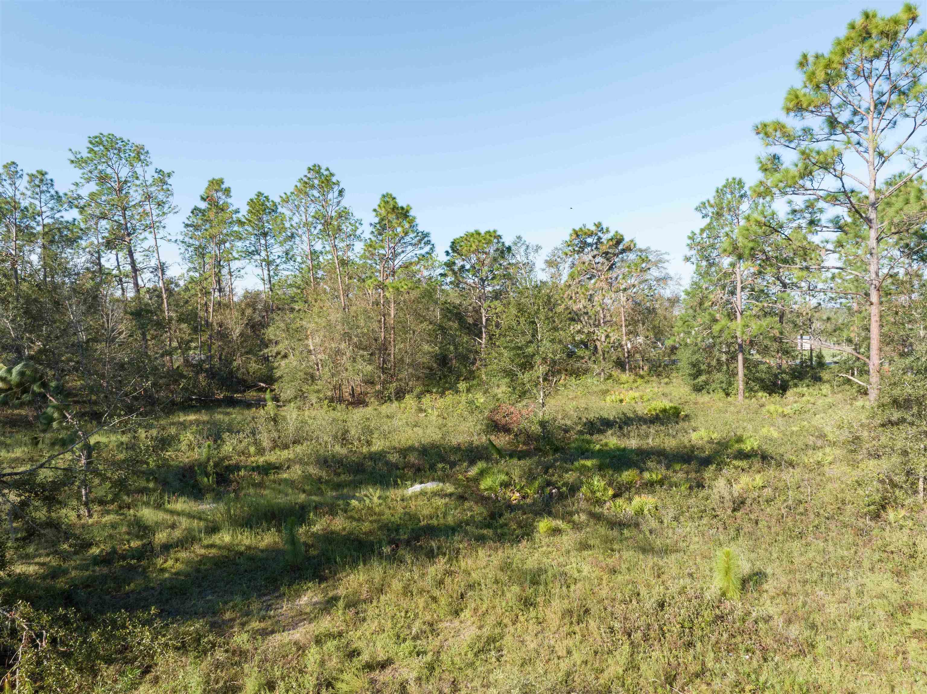 30 Osteen Road Perry, FL 32347 - Photo 5 of 17