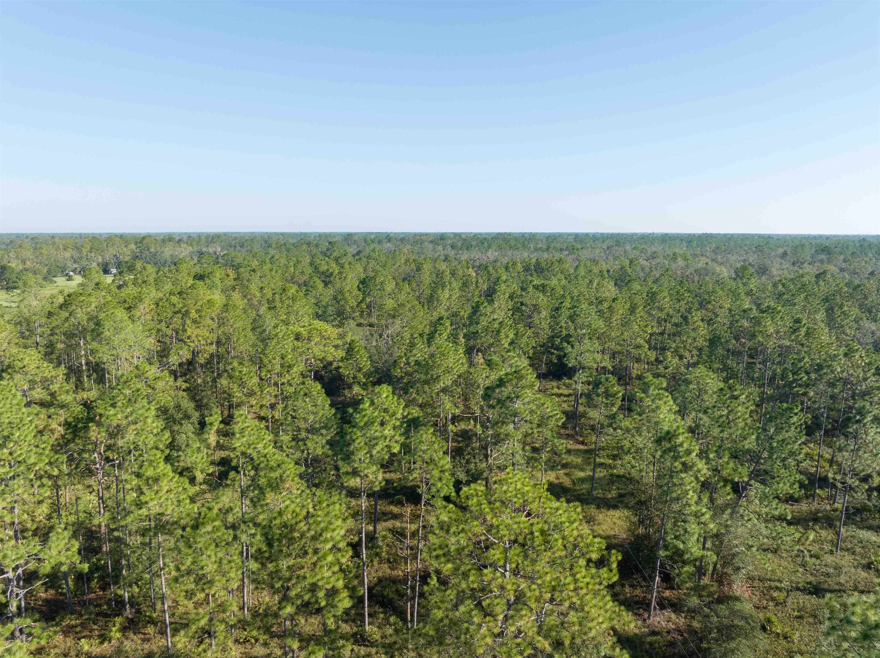 30 Osteen Road Perry, FL 32347 - Photo 8 of 17