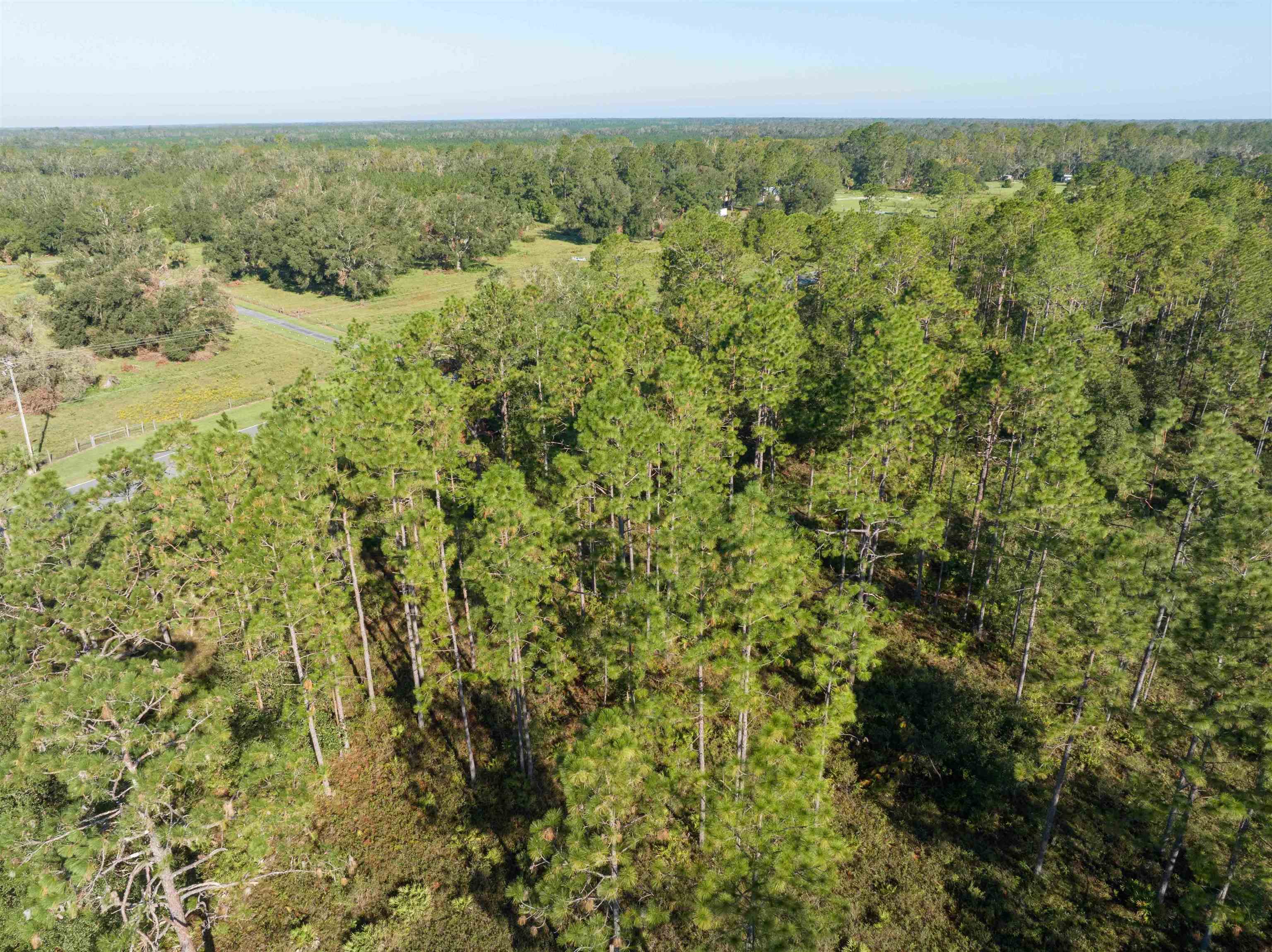 30 Osteen Road Perry, FL 32347 - Photo 9 of 17