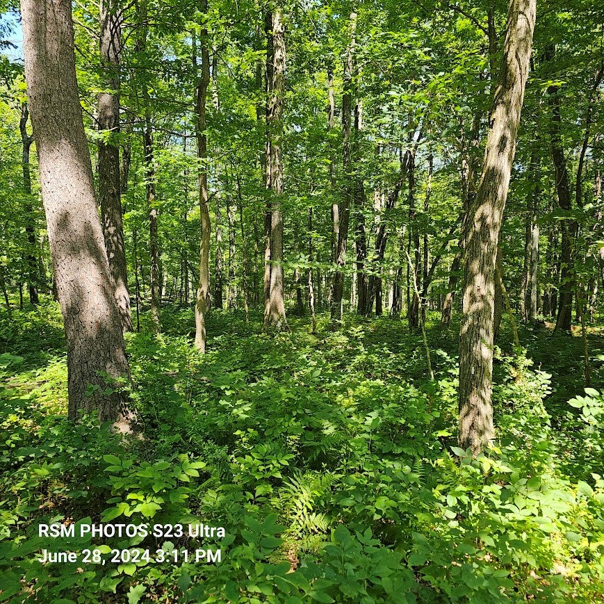 5431-35 Book Road Robertsdale, PA 16674 - Photo 4 of 23 Gallery Image 4