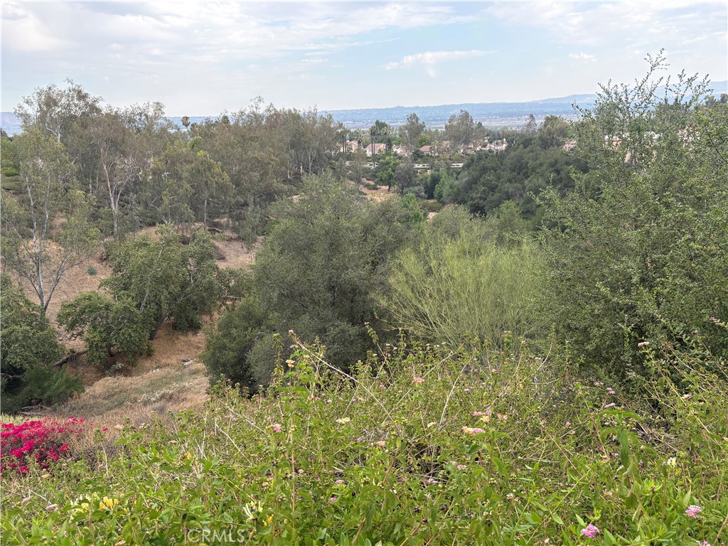 7149 Rockspring Lane Highland, CA 92346 - Photo 29 of 29 Back view of valley