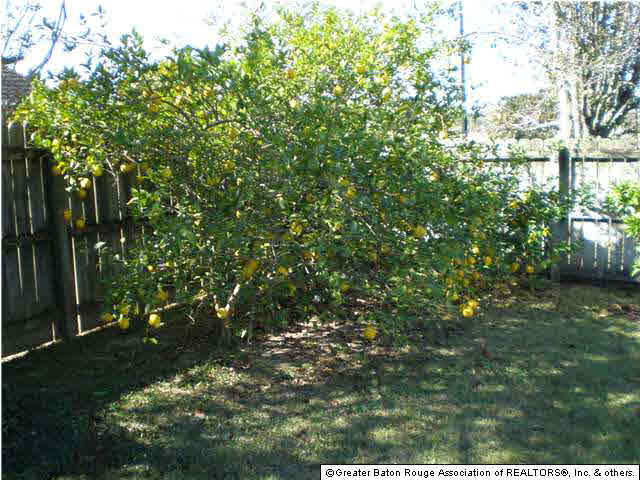11414 Oak Point Avenue Baton Rouge, LA 70810 - Photo 15 of 21 Gallery Image 15